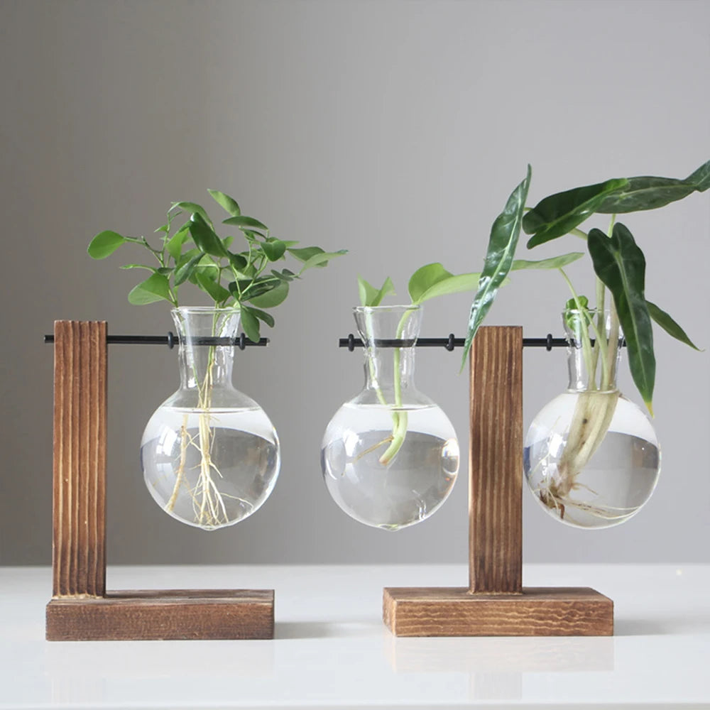 Creative Glass Desktop Planter Bulb Vase Wooden - Thekozyhome